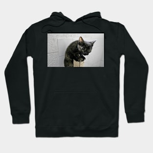 They Call Me Naughty Tortie Hoodie